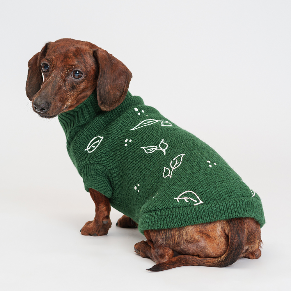 

Petmax Свитер с листочками для кошек и собак, , зеленый