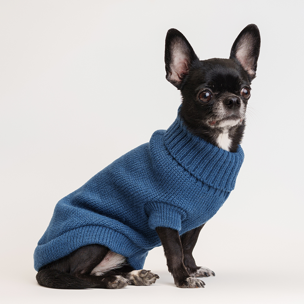 

Petmax Свитер для кошек и собак, , синий