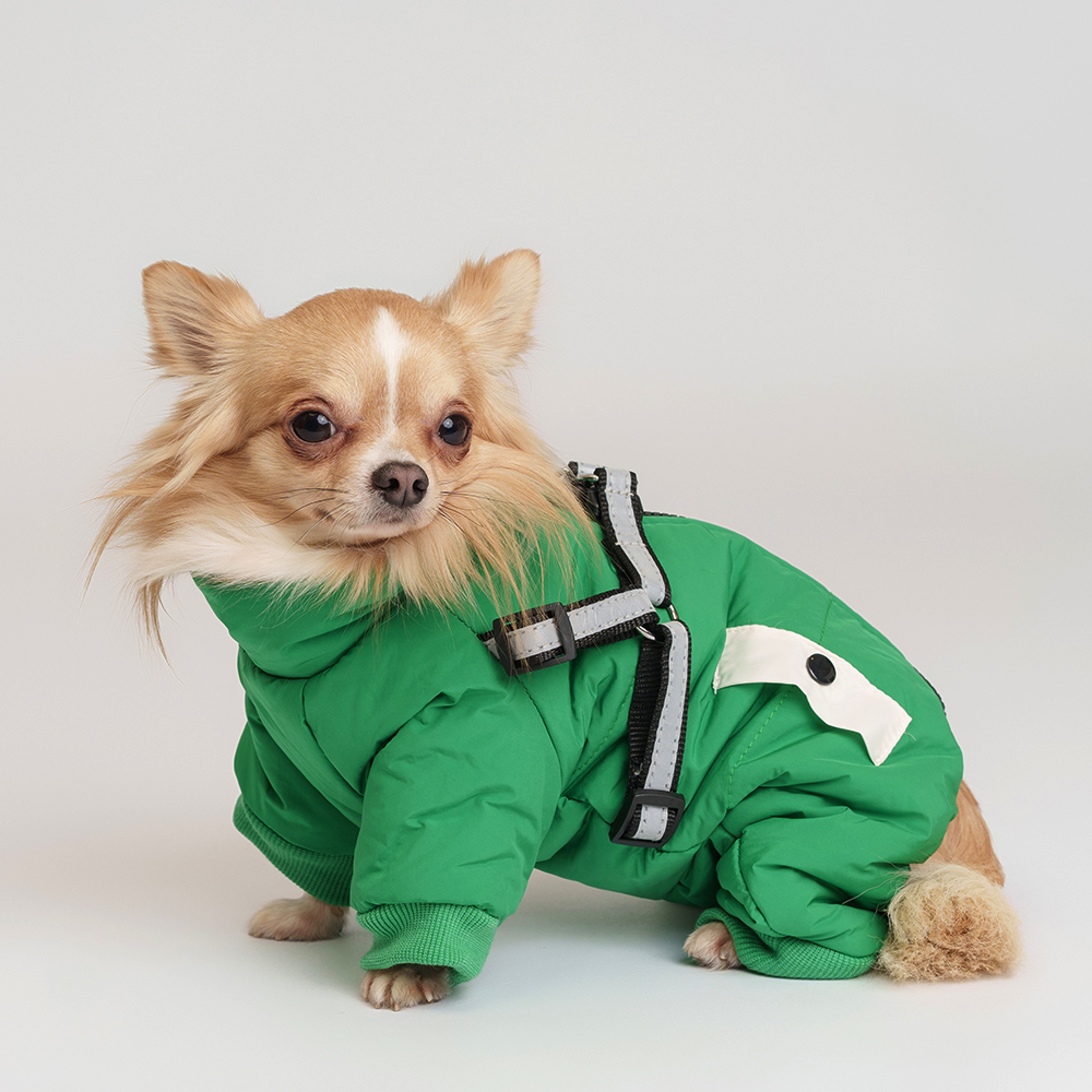 

Petmax Комбинезон со шлейкой для собак, , зеленый (девочка