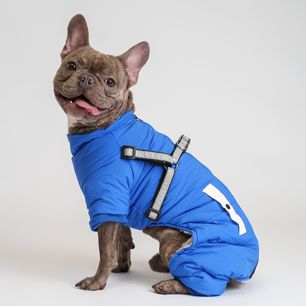 

Petmax Комбинезон со шлейкой для собак, , синий