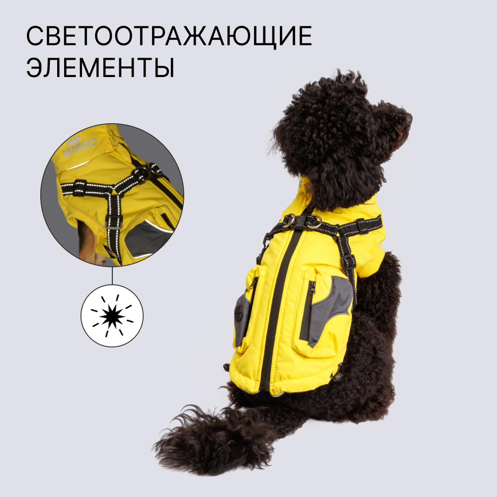 

Rungo Куртка со шлейкой на молнии для собак, , желтая, Желтый
