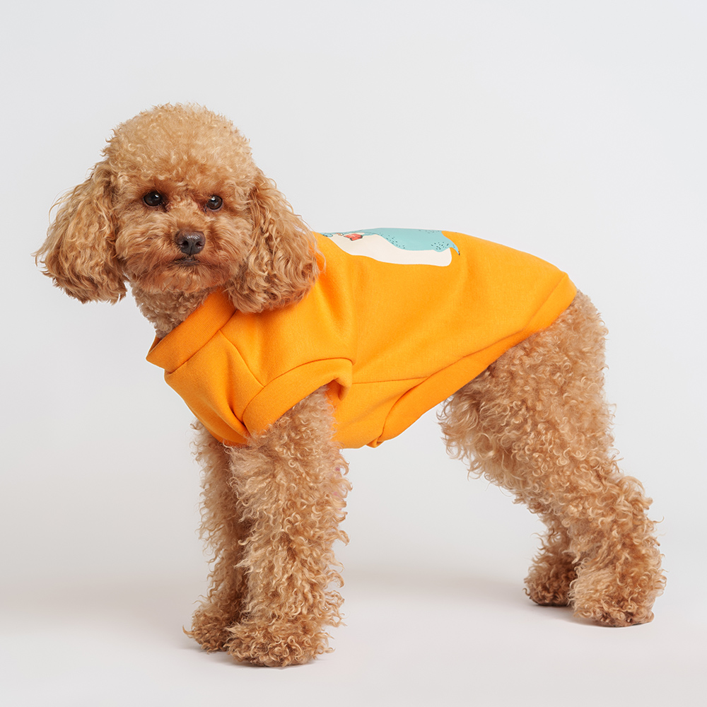 

Petmax Толстовка с медведем для кошек и собак, , оранжевая, Оранжевый