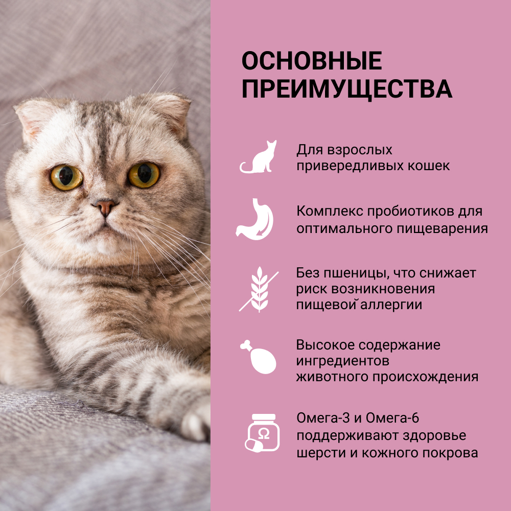 

Wellkiss Exigent Сухой корм для привередливых кошек, с индейкой, 400 гр.