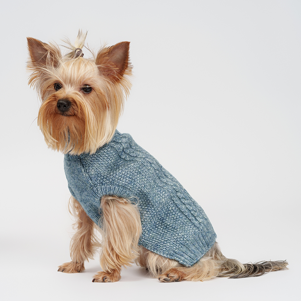 

RURRI Свитер для кошек и собак, , голубой