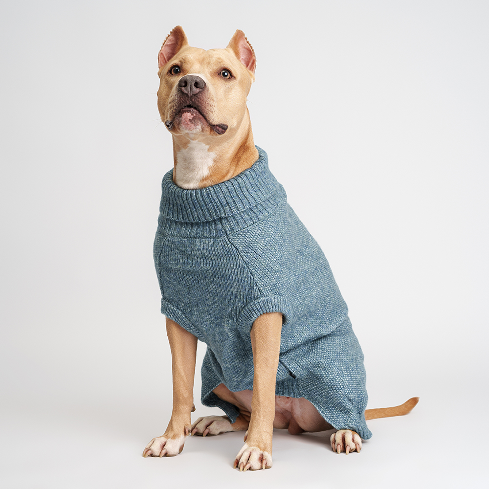 

RURRI Свитер для собак, , голубой