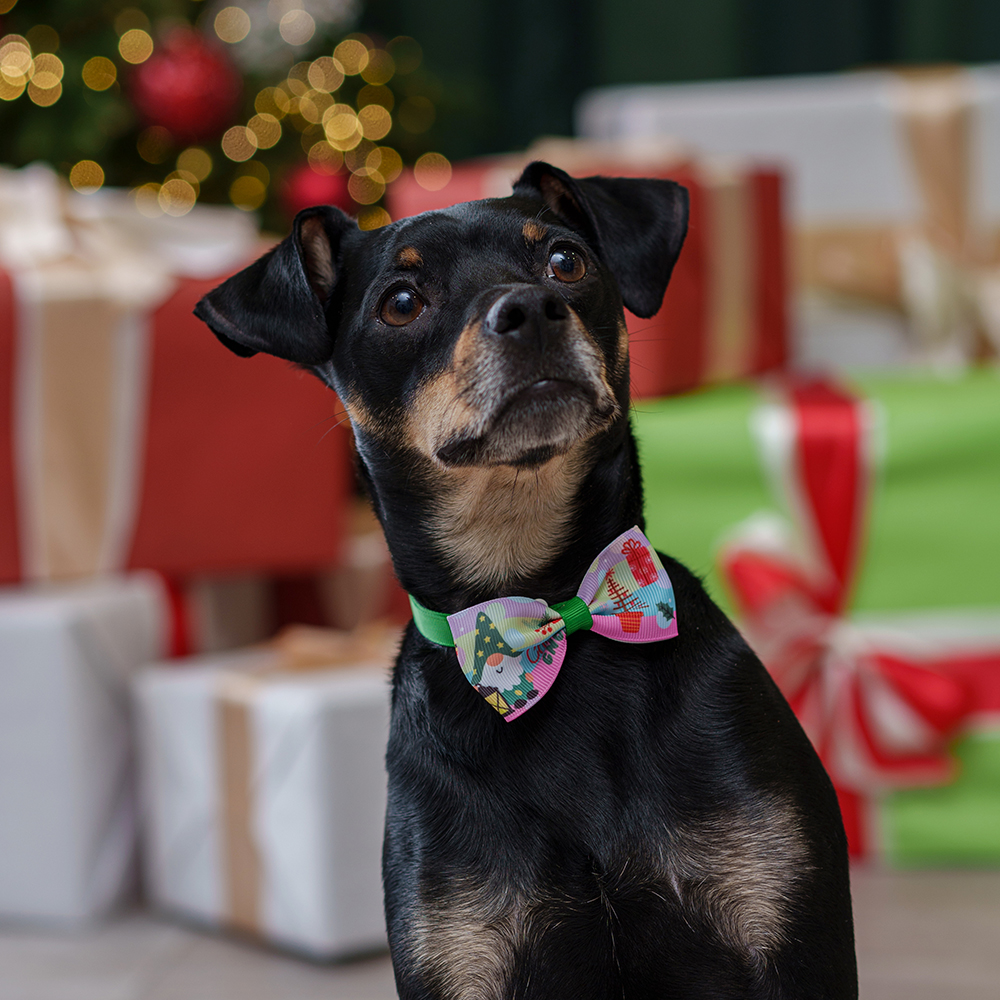 

Petmax Галстук-бант новогодний для кошек и собак Christmas, бабочка 7,5х4 см, длина ремешка 20 см, Белый