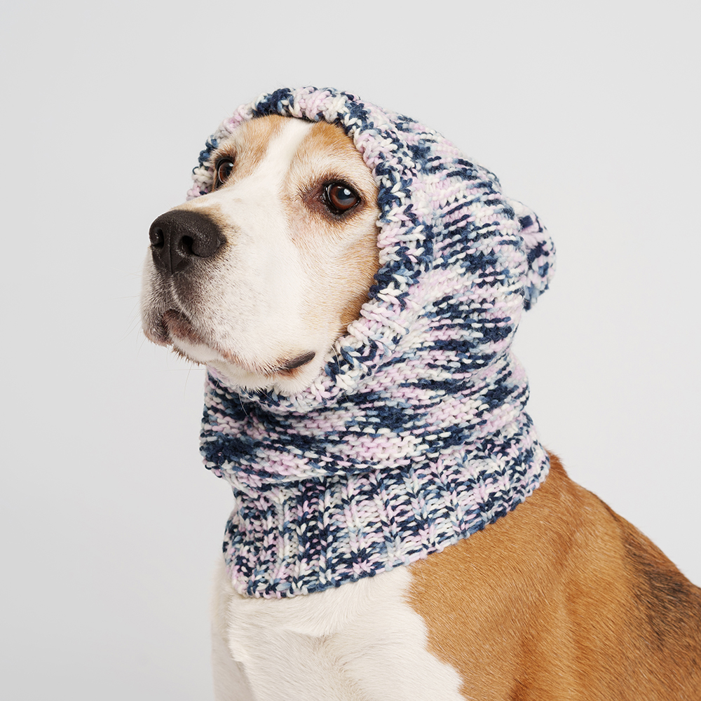 

RURRI Капор для собак, , обхват головы 38 см, высота изделия 30 см, серо-белый, Серый