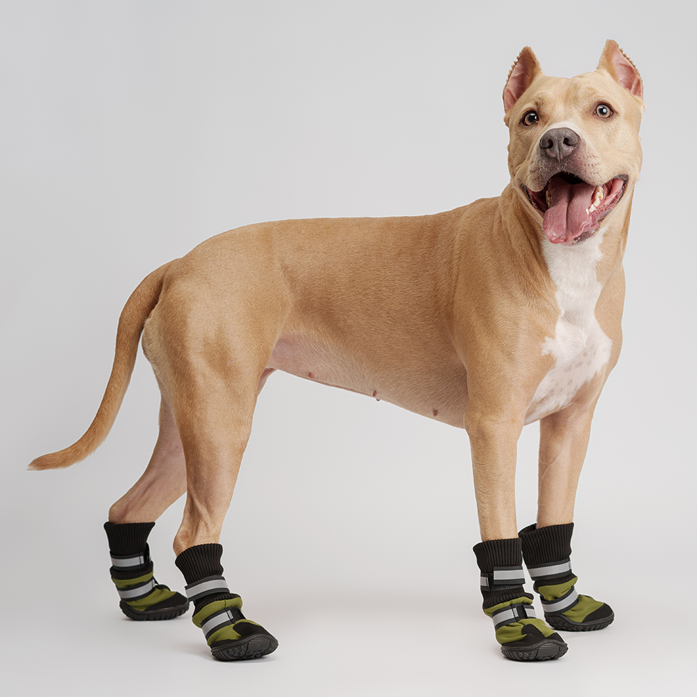 

Rungo Ботинки высокие на липучках для собак, , зеленый