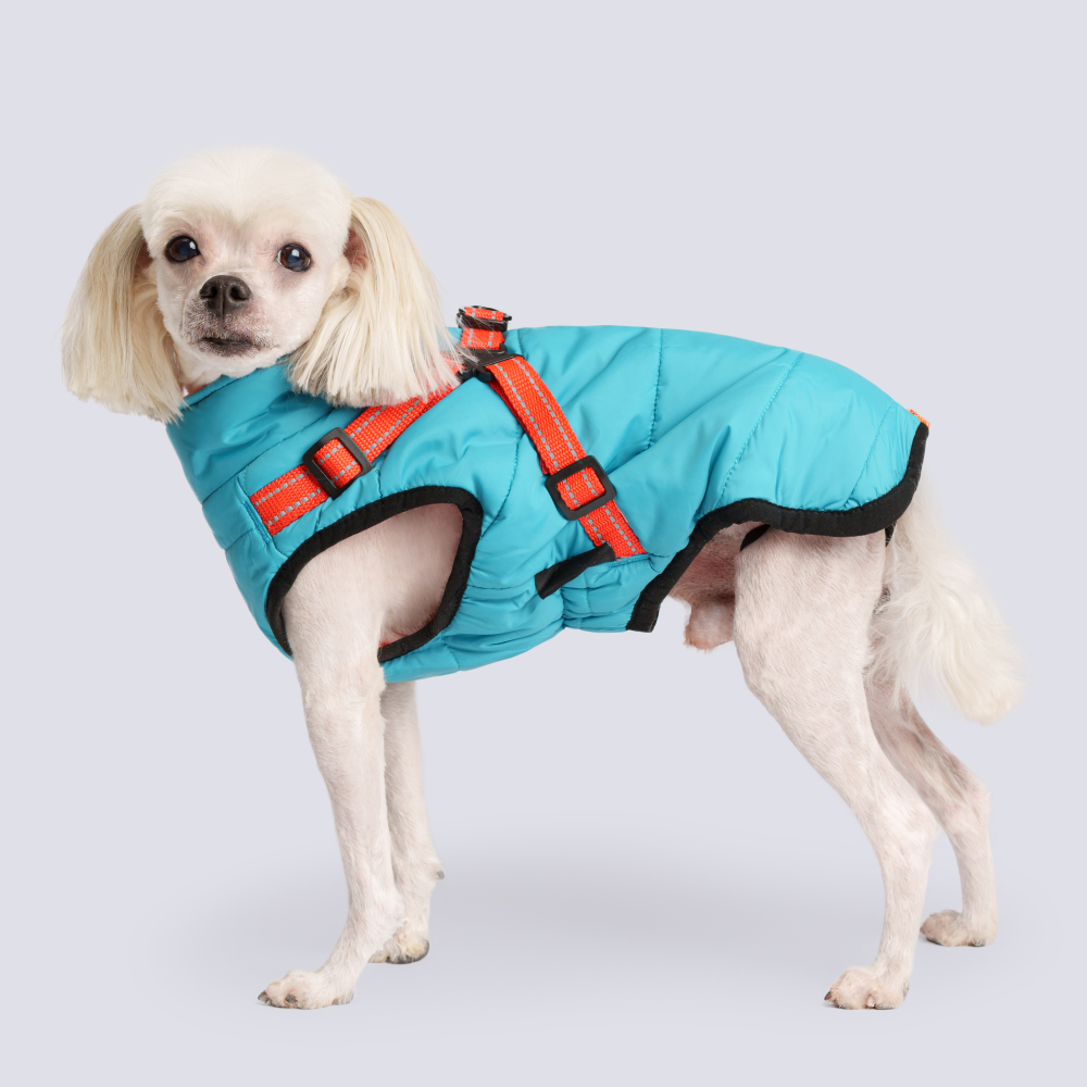 

Rungo Попона теплая со шлейкой для собак, длина спины 40 см, объем груди 56-64 см, голубая, Голубой