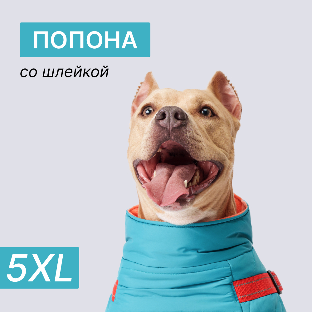 

Rungo Попона теплая со шлейкой для собак, длина спины 65 см, объем груди 80-88 см, голубая, Голубой