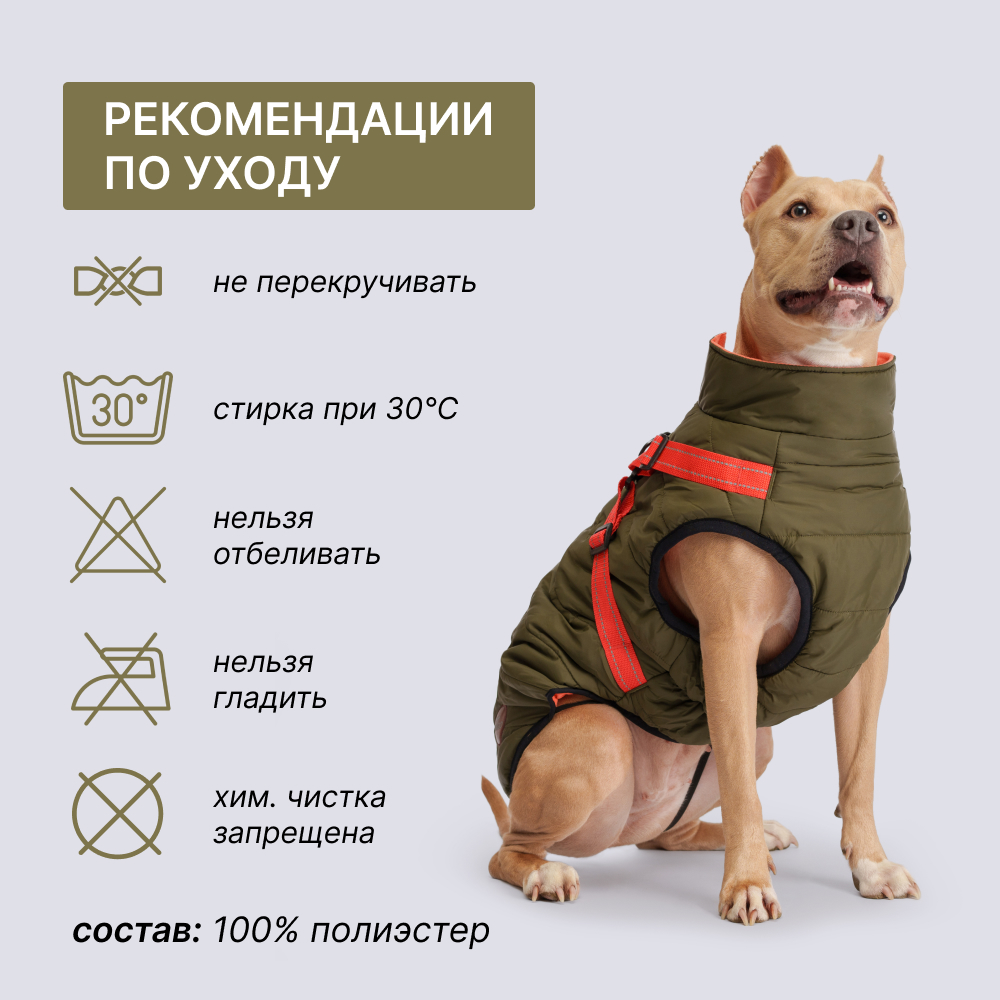 

Rungo Попона теплая со шлейкой для собак, обхват шеи 56 см, обхват груди 74-83 см, длина спины 55 см, зеленая, Зеленый
