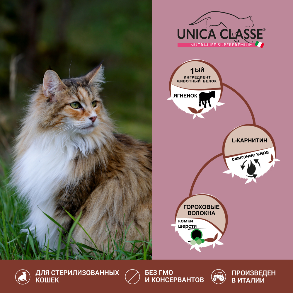 

UNICA Classe Adult Sterilized Luxury Hairball Сухой корм для стерилизованных кошек, с ягненком, 300 гр.