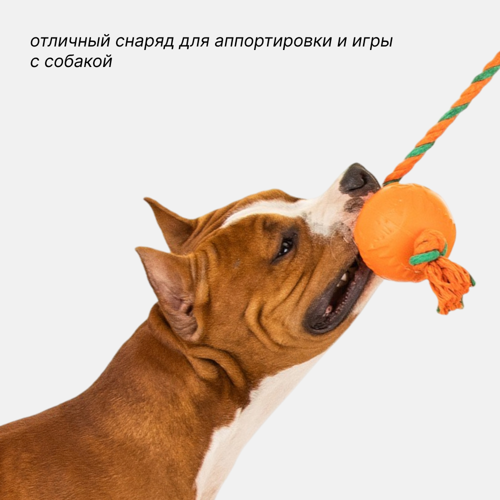 

Pet hobby Игрушка для собак Мяч с канатом, диаметр 6,5 см, Оранжевый