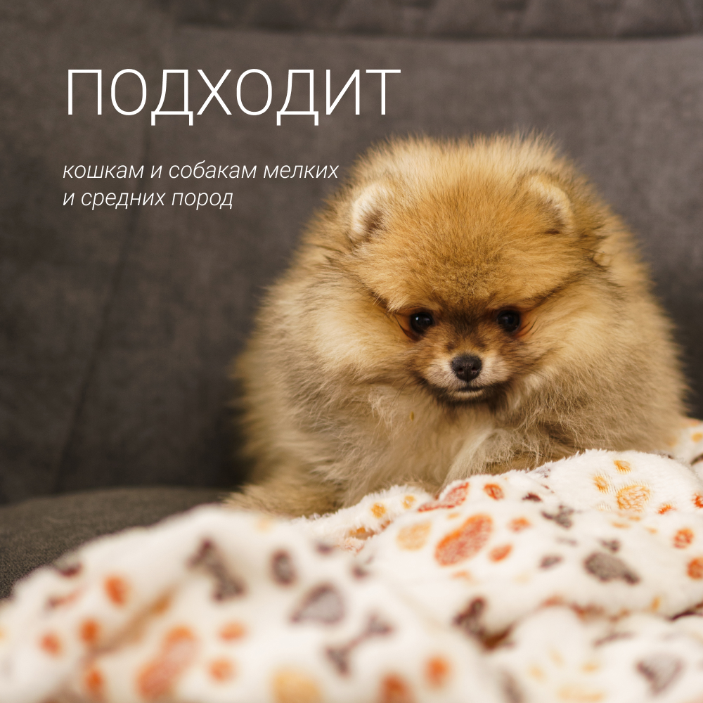 

RURRI Плед Альв для кошек и собак мелких и средних пород,  см, бежевый