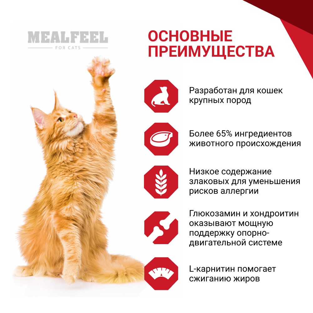 

Mealfeel Functional Nutrition Large Breeds Сухой корм для кошек крупных пород в возрасте от 1 до 7 лет, с индейкой и курицей, 2 кг