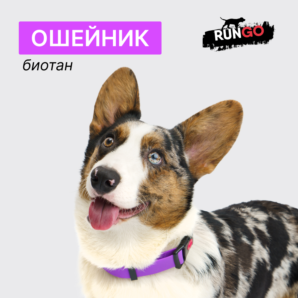 

Rungo Ошейник из биотана для собак, обхват шеи 37-55 см, ширина 2,, фиолетовый