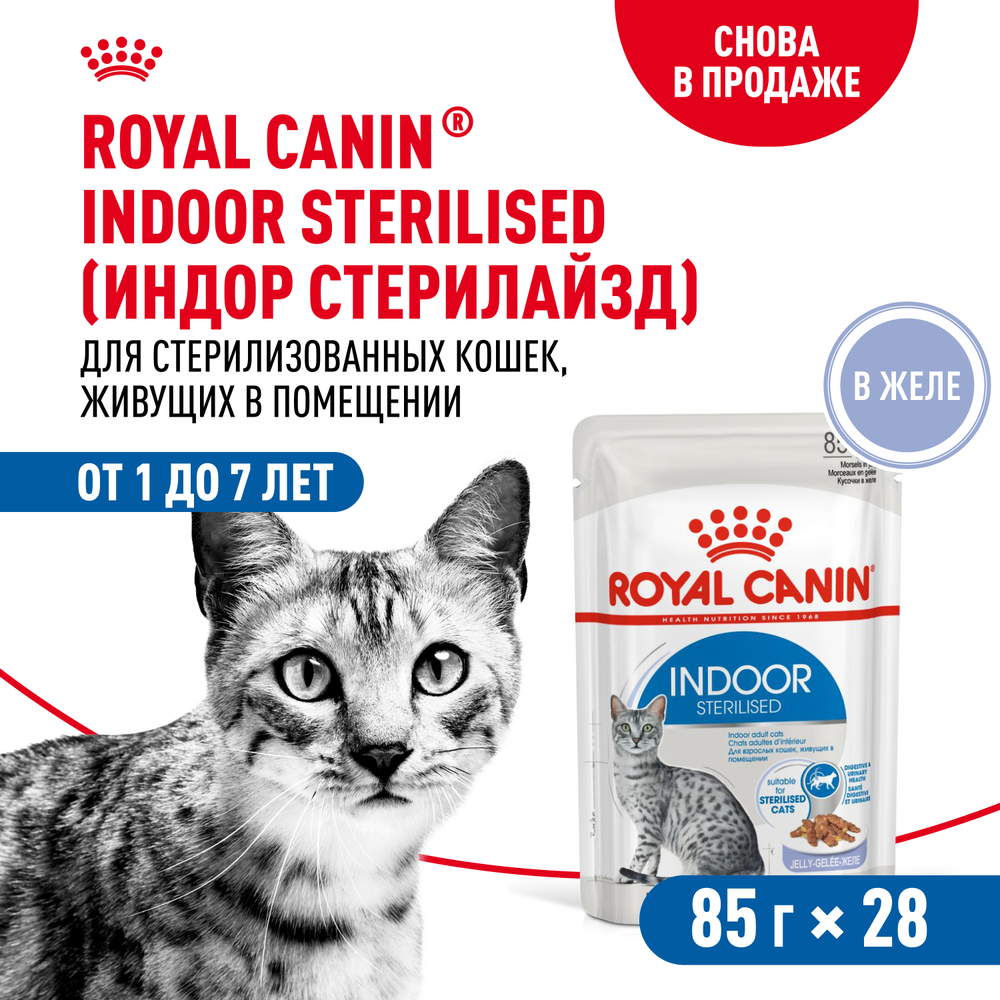 

Royal Canin Indoor Sterilised Влажный корм (пауч) для стерилизованных кошек от 1 до 7 лет, в желе, 85 гр.