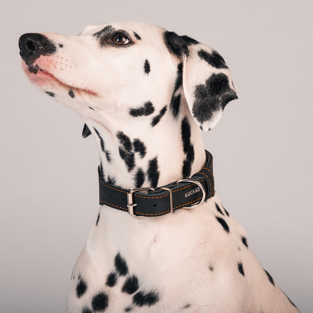 

Каскад Ошейник переменной ширины для собак, ширина 3 см, обхват шеи 30-38 см, черный