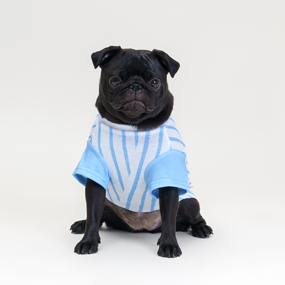 

RURRI Футболка для кошек и собак, , бело-голубая, Голубой