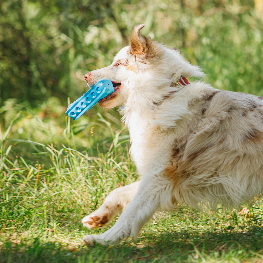 

RURRI Игрушка для собаки Палочка плавающая с пищалкой, Синий
