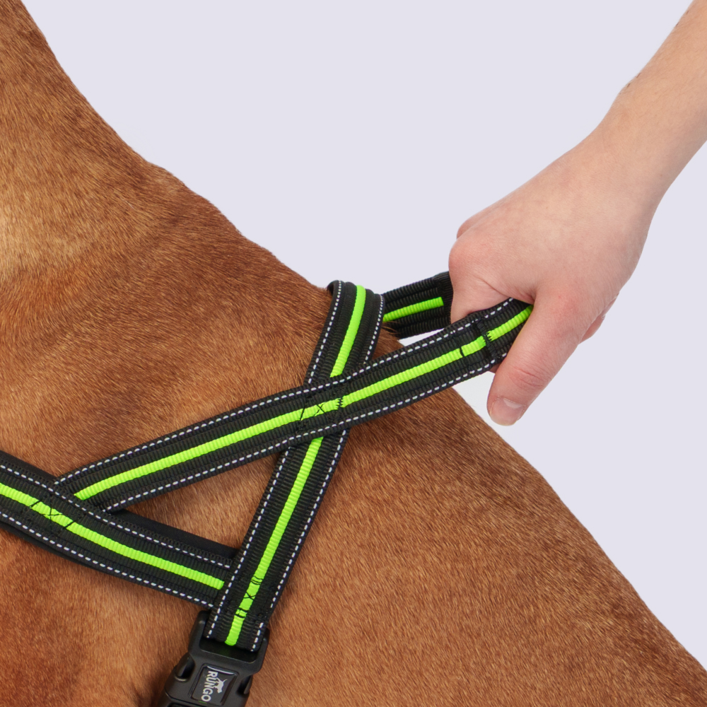 

Rungo Шлейка для собак со светоотражающей полоской Norway, обхват груди , ширина ремешка 3,5 см, черно-зеленый