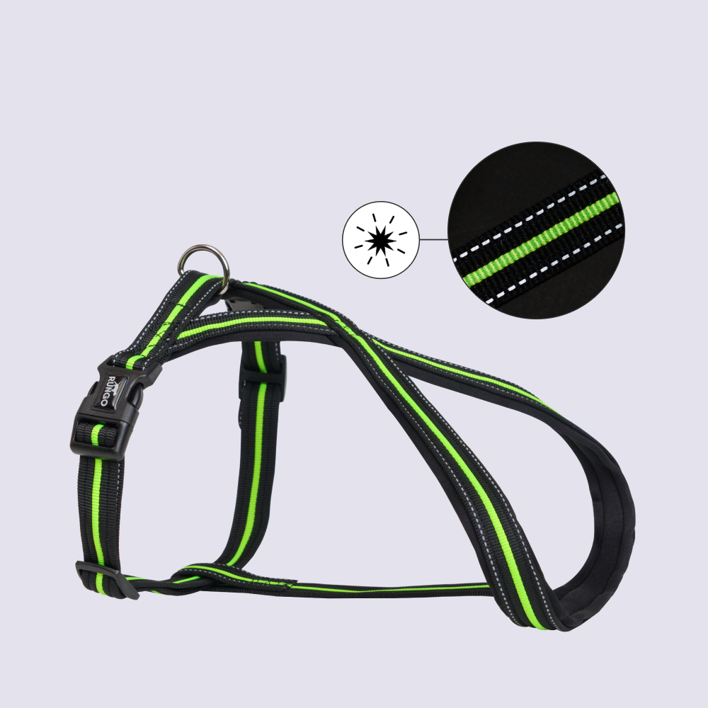 

Rungo Шлейка X-shape S: 35–50 cm/23mm черный с зеленым, Зеленый