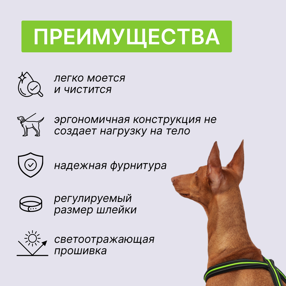 

Rungo Шлейка для собак со светоотражающей полоской X-shape, , обхват груди 35-50 см, ширина ремешка 2,3 см, черно-зеленый