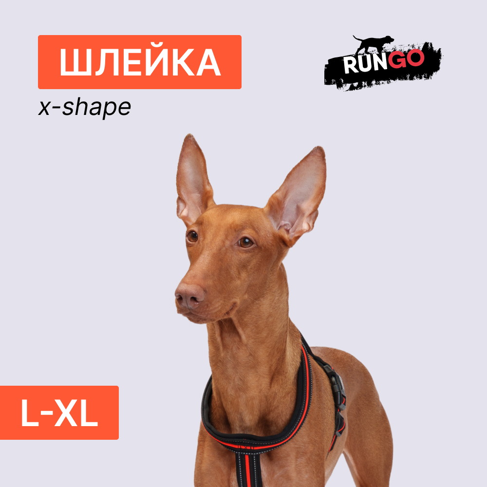 

Rungo Шлейка для собак со светоотражающей полоской X-shape, L-XL, обхват груди 70-100 см, ширина ремешка 2,3 см, черно-оранжевый