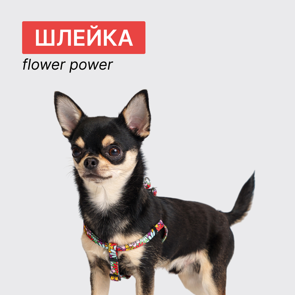 

RURRI Шлейка для кошек и собак Flower Power, объем груди , ширина ремешка 1,5 см, Голубой