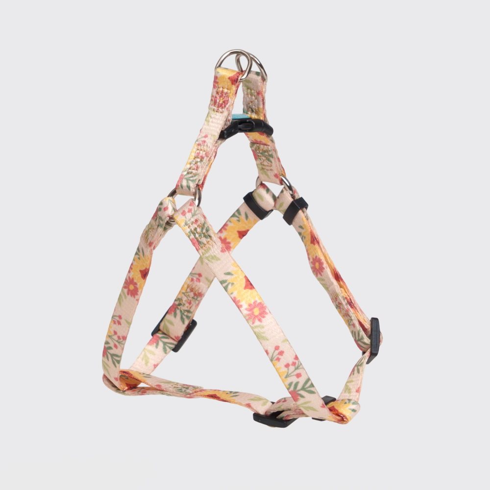 

RURRI Шлейка для кошек и собак Лето, объем груди , ширина ремешка 1,5 см, Оранжевый