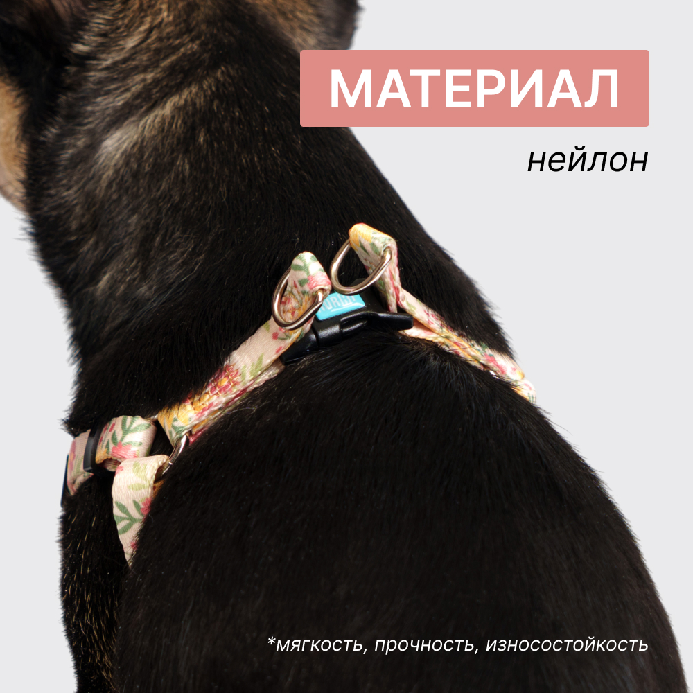 

RURRI Шлейка для кошек и собак Лето, объем груди , ширина ремешка 1,5 см, Оранжевый