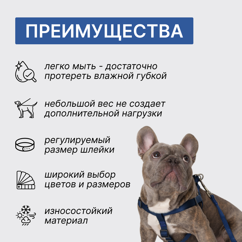 

Rungo Шлейка нейлоновая для кошек и собак Step-in, объем груди , ширина ремешка 1 см, синий
