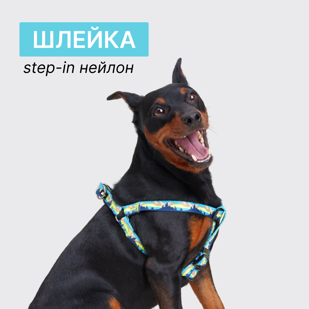 

Rungo Шлейка нейлоновая для кошек и собак Step-in, объем груди ,5см, ширина ремешка 1 см, горный голубой