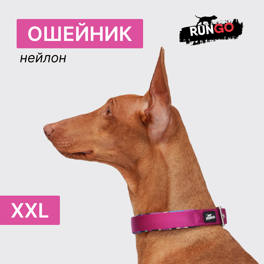 

Rungo Ошейник для собак Soft Classic, , обхват шеи 45-53 см, ширина 2,5 см, орхидея, Фиолетовый