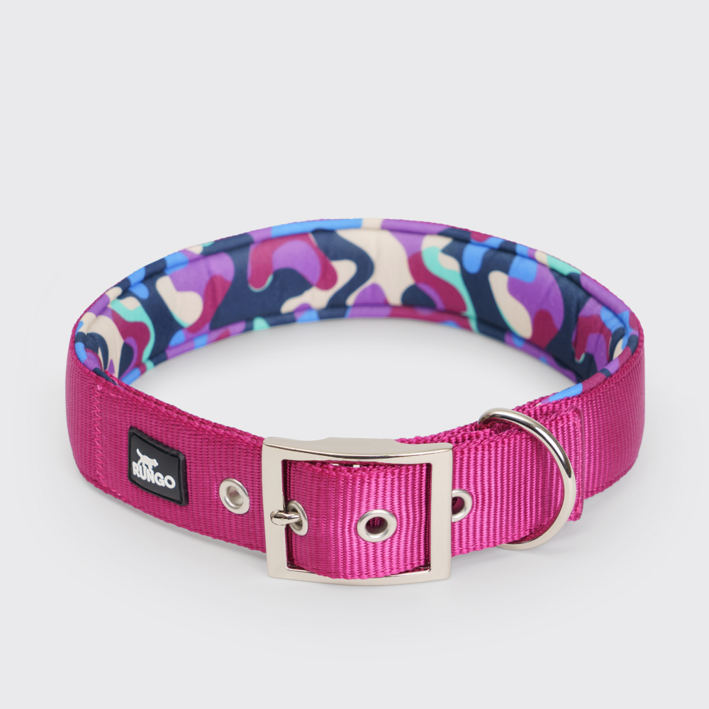 

Rungo Ошейник для собак Soft Classic, , обхват шеи 55-63 см, ширина 4 см, орхидея, Фиолетовый