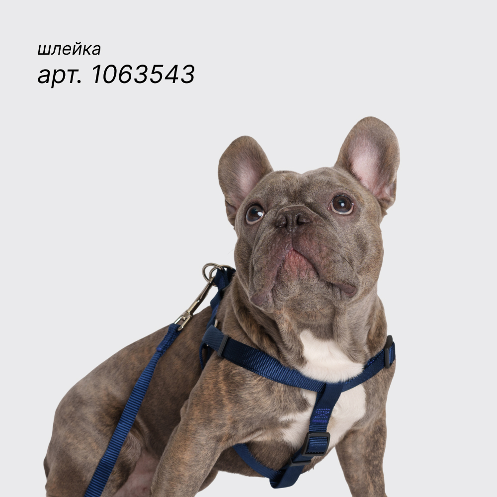 

Rungo Поводок нейлоновый для кошек и собак, 120 см, ширина ремешка 1 см, синий