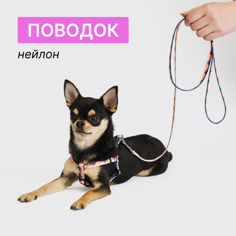 

Rungo Поводок нейлоновый для кошек и собак, 120 см, ширина ремешка 1,, горный розовый