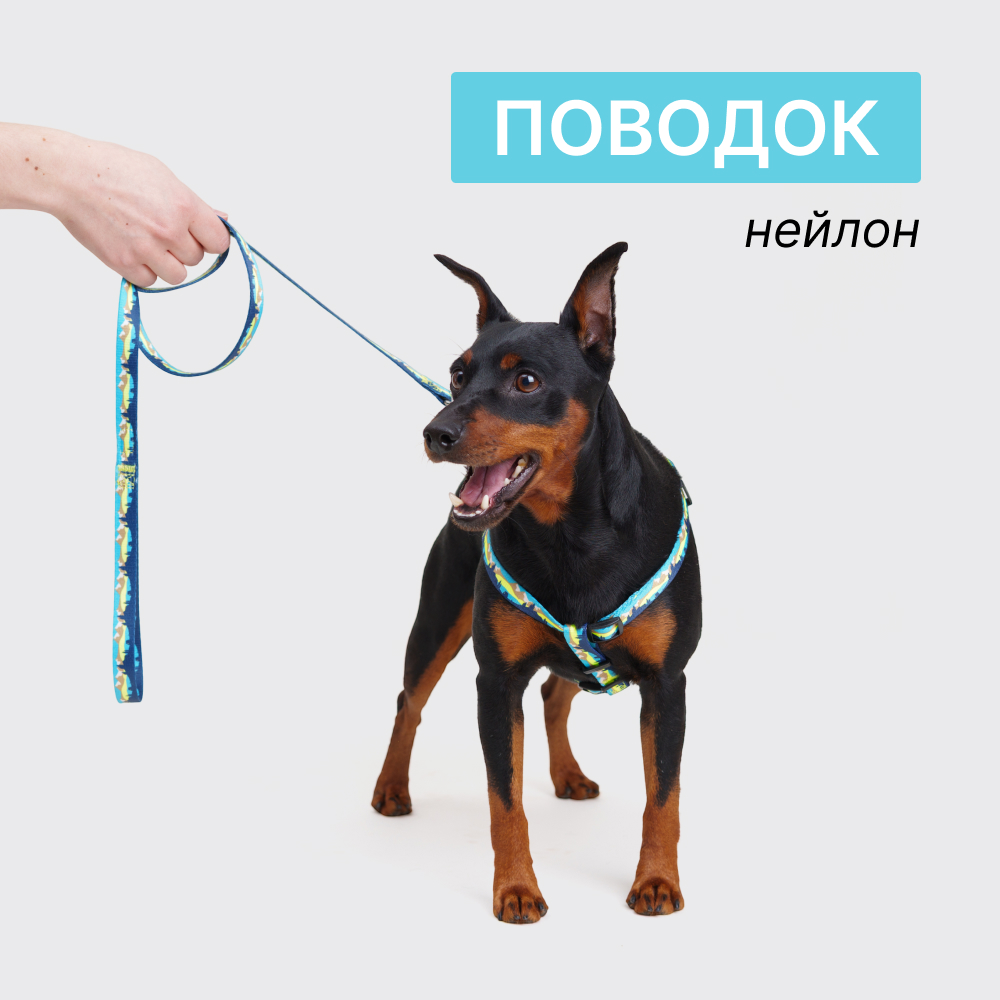 

Rungo Поводок нейлоновый для кошек и собак, 120 см, ширина ремешка 1,, горный голубой