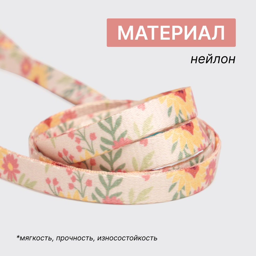 

RURRI Поводок нейлоновый для кошек и собак Лето, 120 см, ширина ремешка 1,5 см, Оранжевый