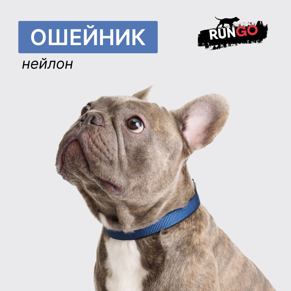 

Rungo Ошейник нейлоновый для собак Soft, обхват шеи , ширина 2 см, синий