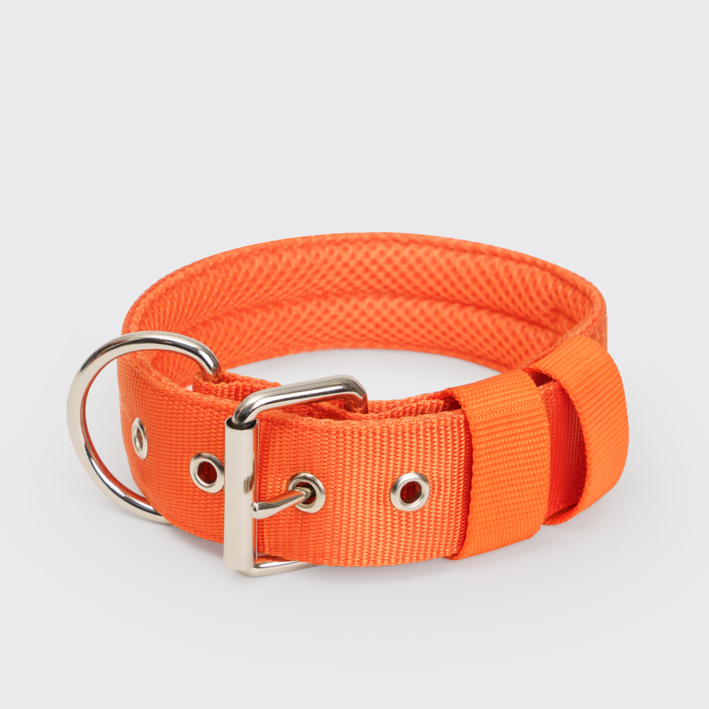 

Rungo Ошейник нейлоновый для собак Classic Air, обхват шеи , ширина 4,5 см, оранжевый