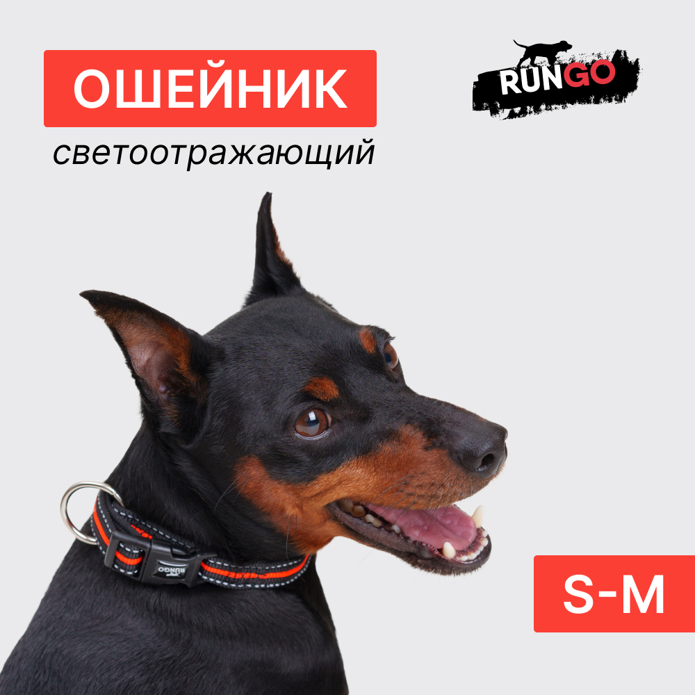 

Rungo Ошейник светоотражающий для собак Urban Daily, S-M, обхват шеи 30-45 см, ширина 1,7 см, черно-оранжевый