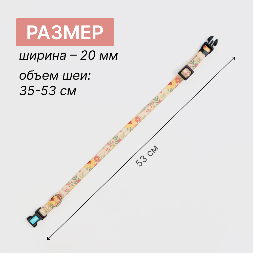 

RURRI Ошейник для собак Лето, обхват шеи 35-53 см, ширина 2 см, Оранжевый