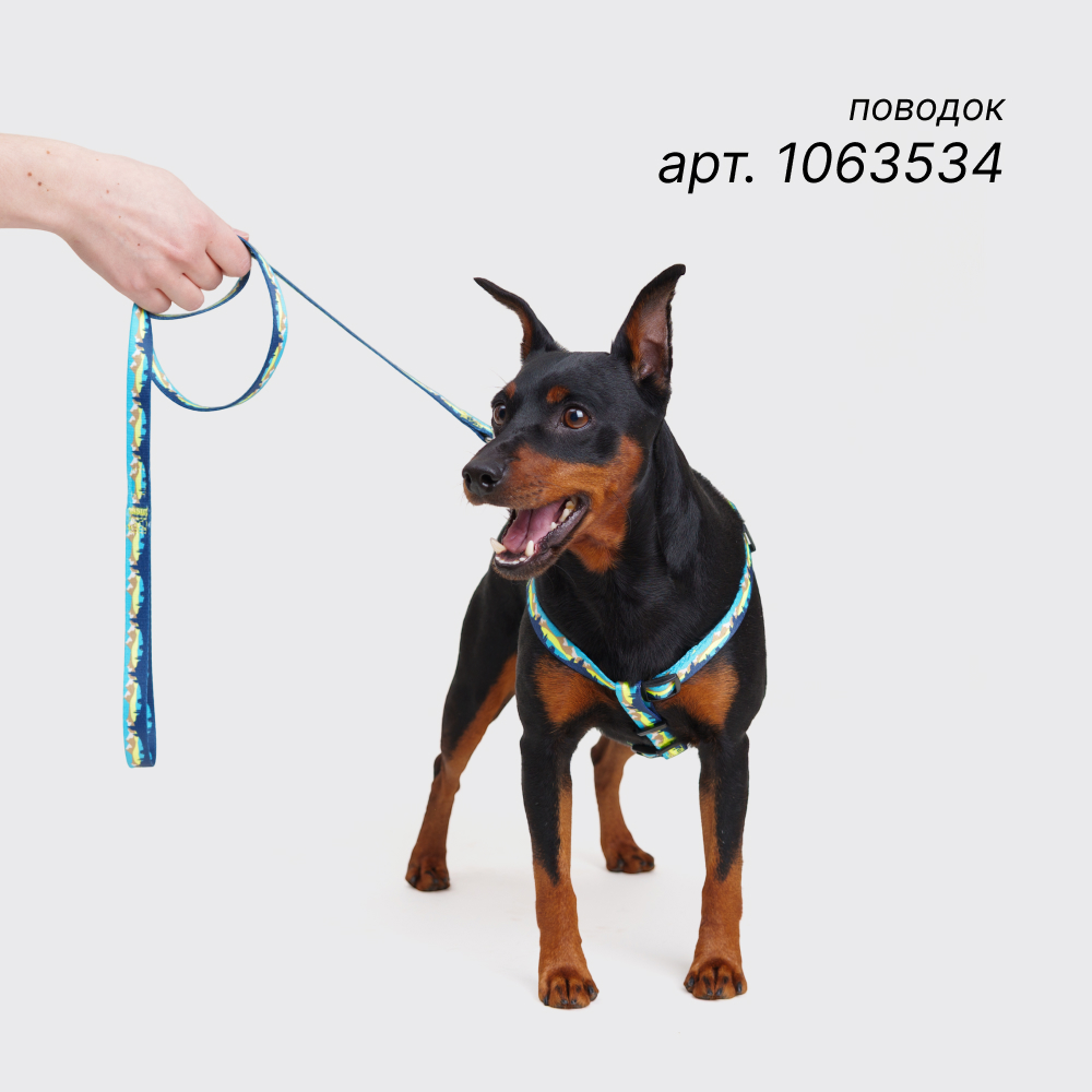 

Rungo Ошейник нейлоновый для собак, обхват шеи , ширина 1 см, голубой