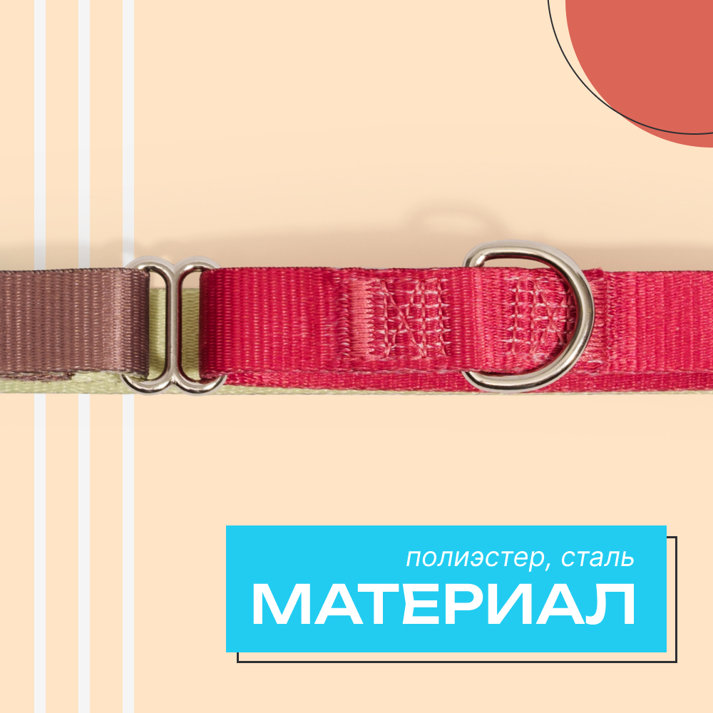 

Rungo Ошейник для собак Мартингейл, объем шеи 41-55 см, ширина ремешка 2,, малиновый-зеленый