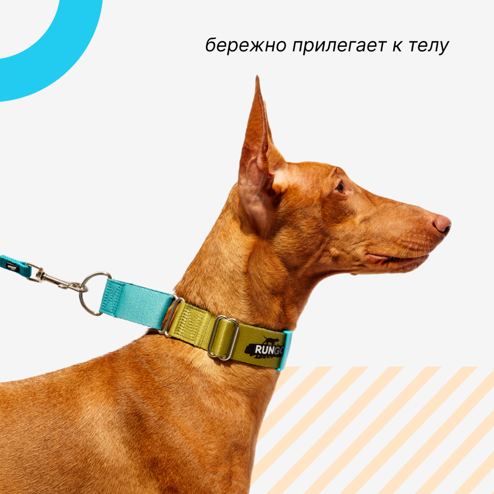 

Rungo Ошейник для собак Мартингейл Wide, объем шеи 52-80 см, ширина ремешка 3,, голубой-зеленый