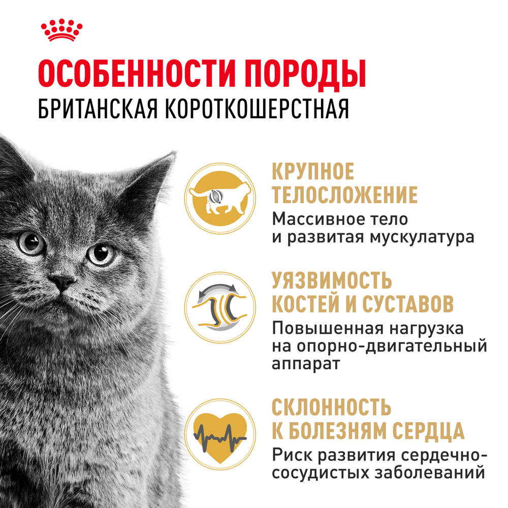

Royal Canin British Shorthair 36 Adult Сухой корм для взрослых кошек породы британская короткошерстная, 400 гр.