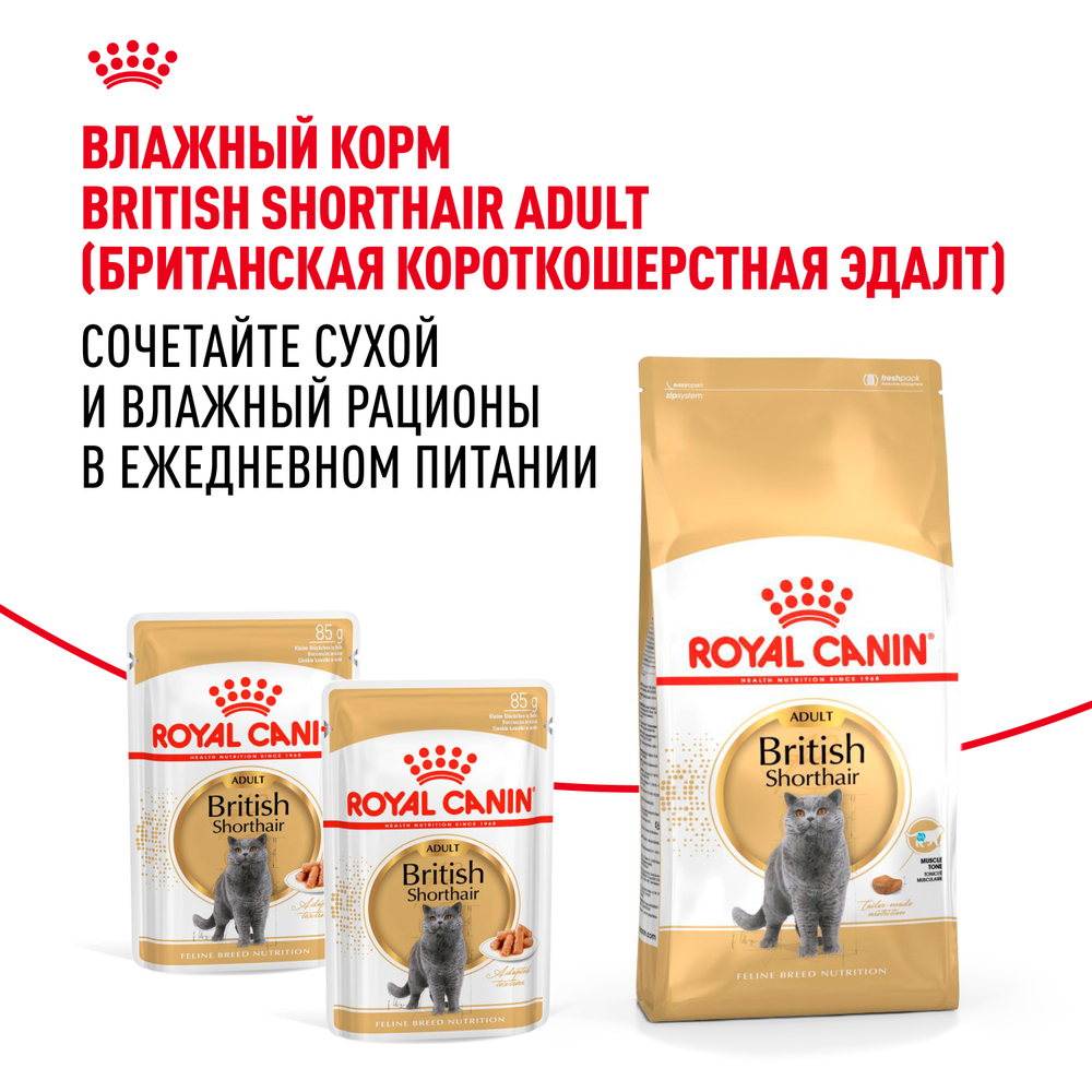 

Royal Canin British Shorthair 36 Adult Сухой корм для взрослых кошек породы британская короткошерстная, 400 гр.