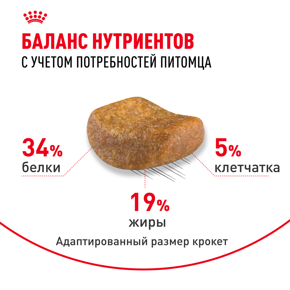 

Royal Canin British Shorthair 36 Adult Сухой корм для взрослых кошек породы британская короткошерстная, 2 кг