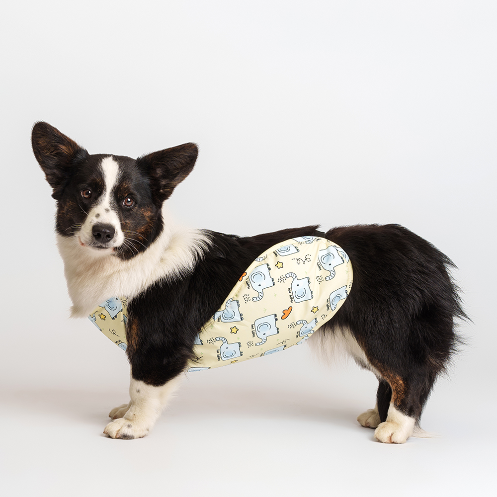 

Petmax Дождевик-фартук для собак, , желтый (мальчик